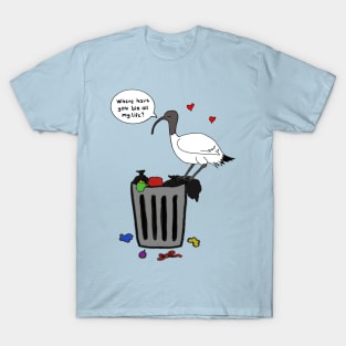 Where have you bin all my life? T-Shirt